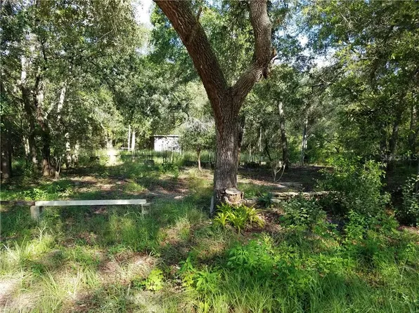 40209 Palm St, Lady Lake, FL 32159