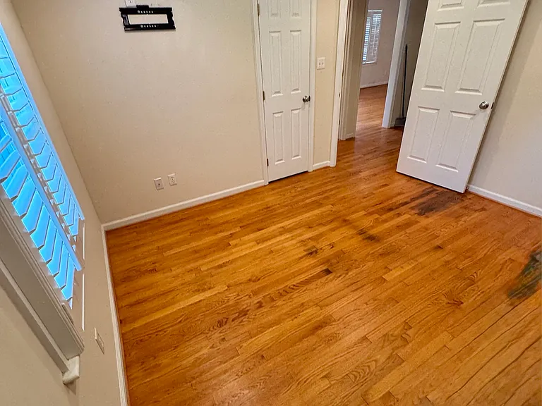487 Mimosa Ln — Photo 3