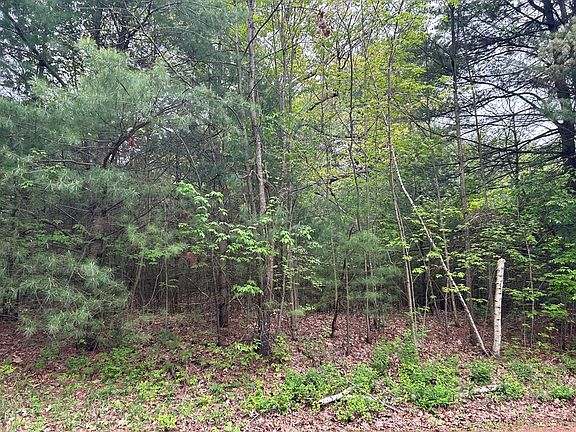 4th image of Leatherwood Dr