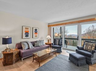 161 Skyleaf Dr #E-19, Sugar Mountain, NC 28604