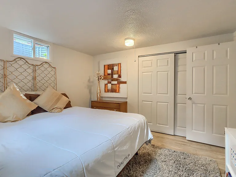 Basement Bedroom - 5th Bedroom