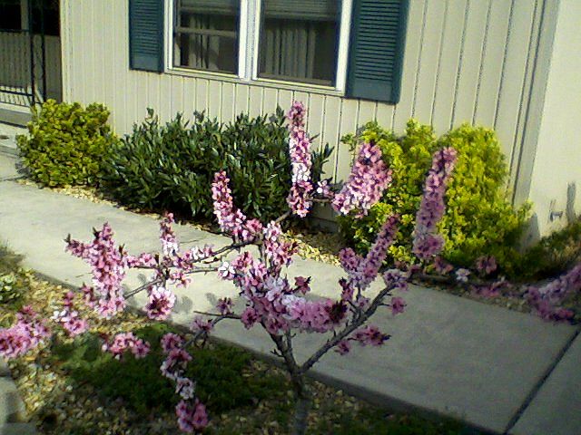 1st image of 2046 Menasha Dr