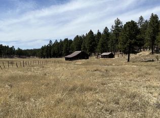 LOT B Forest Rd #26, Alpine, AZ 85920