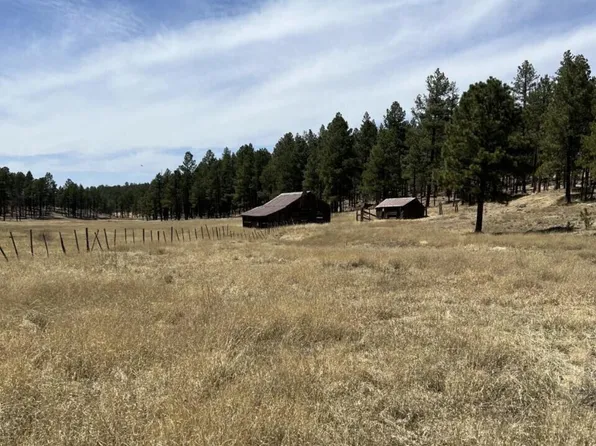 LOT B Forest Rd #26, Alpine, AZ 85920