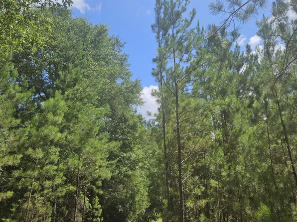 1087 Brake Rd, Ponce De Leon, FL 32455