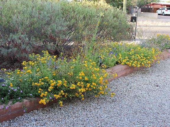 Flowerbed Along Driveway