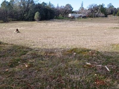 14540 Burlington Pkwy, Penn Valley, CA, 95946