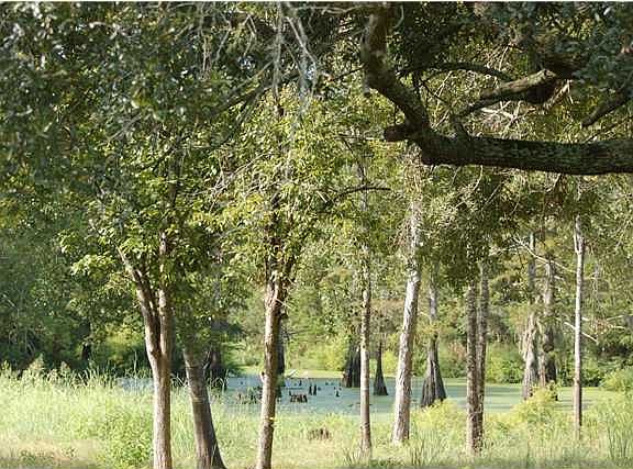 2nd image of 985 Tower Rd