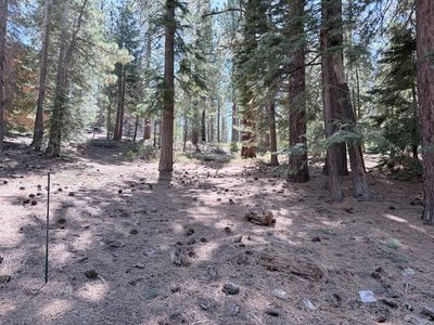 Gold Dust Trl, South Lake Tahoe, CA, 96150