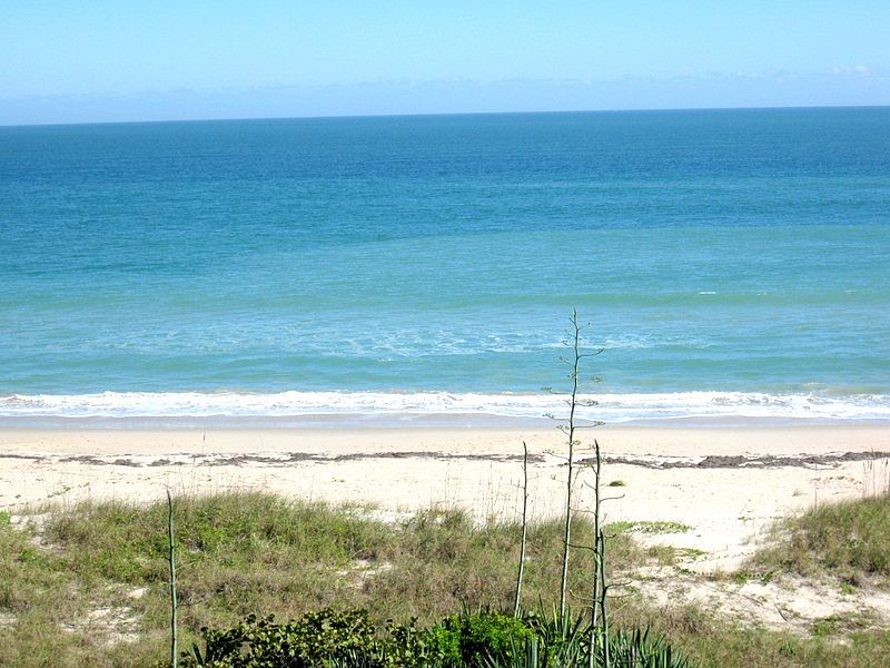 1st image of 4250 N Highway A1a APT 503
