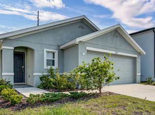 12173 Downy Birch Dr, Riverview, FL 33579