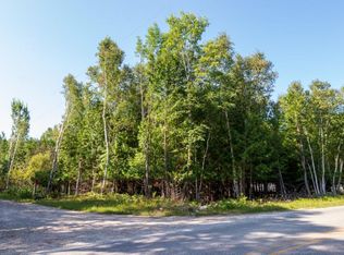 33516 S Viilo Dr, Drummond Island, MI 49726