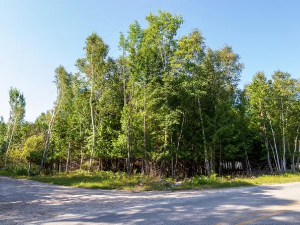 33516 S Viilo Dr, Drummond Island, MI 49726