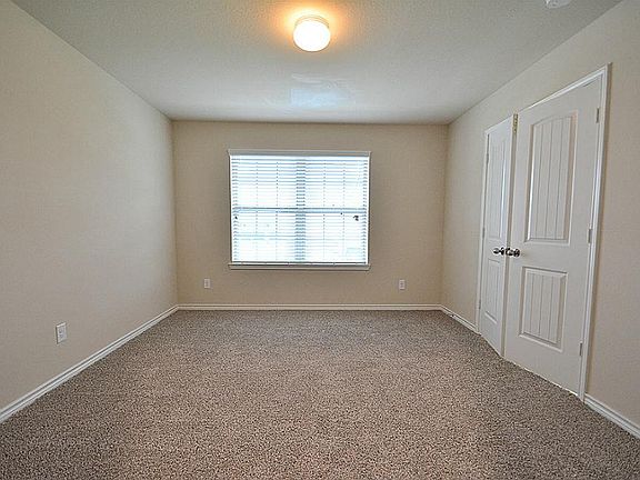 3rd image of 18027 Tenasserim Pine Trce