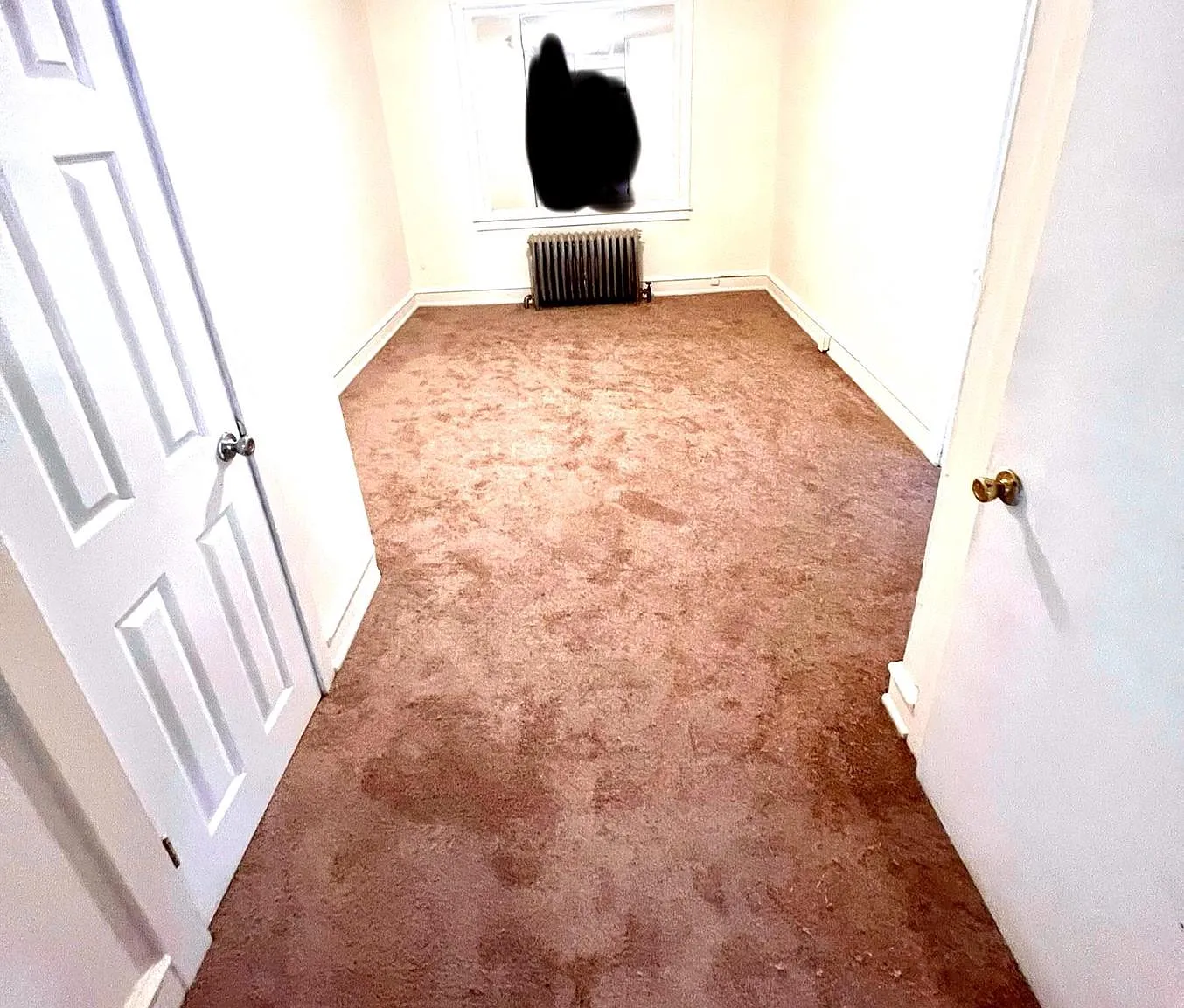 2 bed, 1.5 bath, 800 sqft, $1,400 — Photo 3