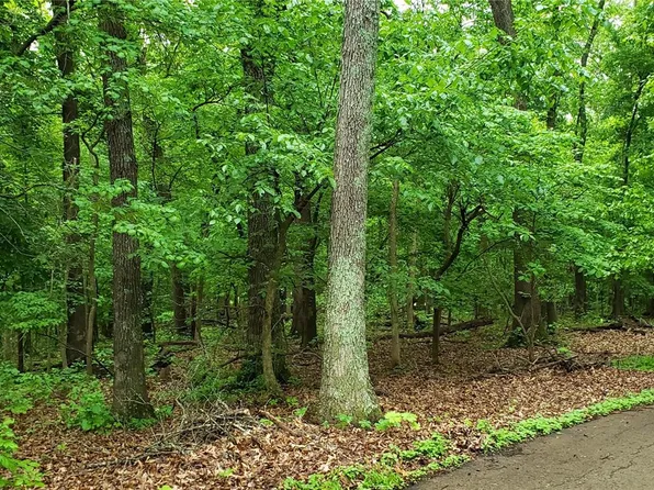19445 Babler Forest Rd, Chesterfield, MO 63005