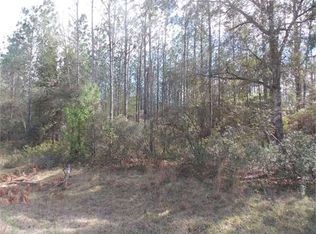 517 NE Condurango Ln, Lee, FL 32059