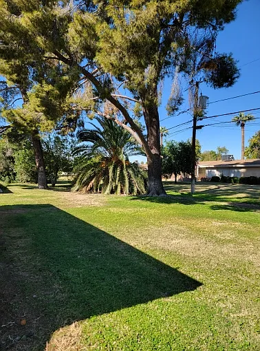 10916 W Peoria Ave — Photo 8