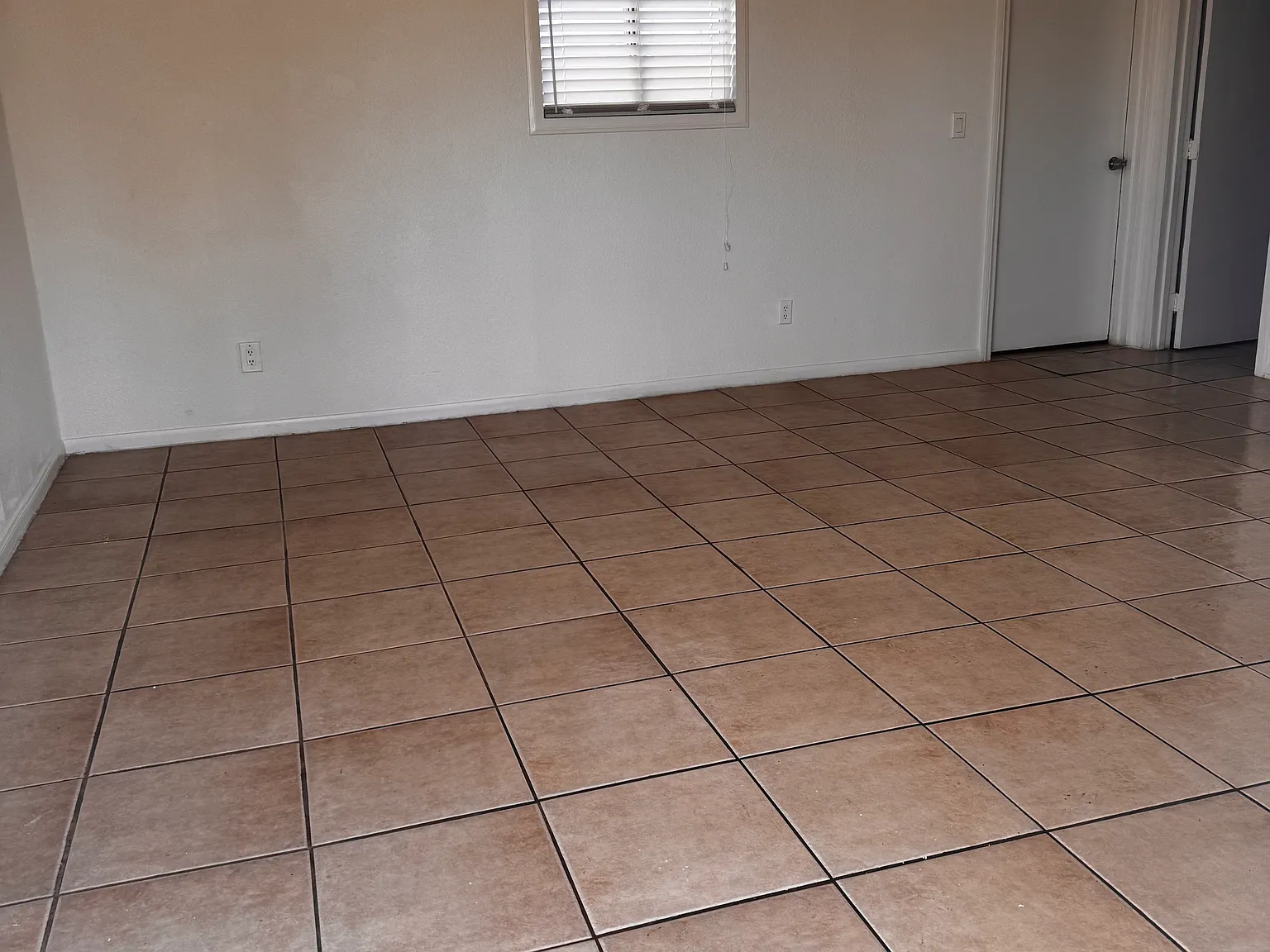 1 bed, 795 sqft, $1,150 — Photo 4