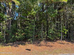 20 Deer Track Drive LOT 20, Clinton, NC 28328