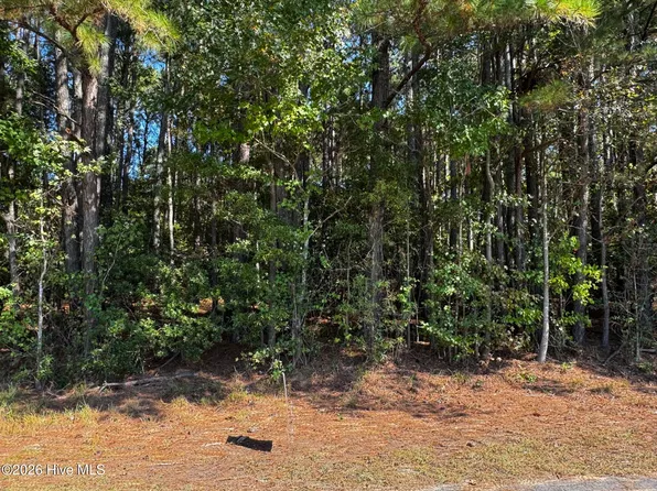 20 Deer Track Drive LOT 20, Clinton, NC 28328