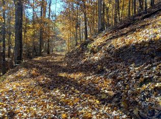 353 Bill West Rd, Limestone, TN 37681