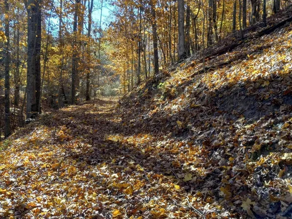 353 Bill West Rd, Limestone, TN 37681