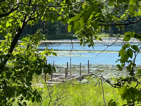 11593 N Midget Lake Dr, Irons, MI 49644