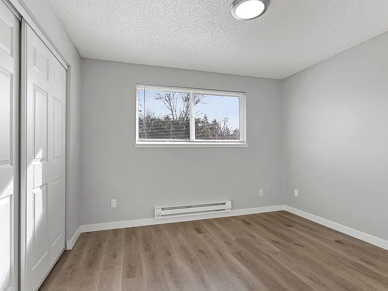 Pine Tree Lane Apartments — Photo 10