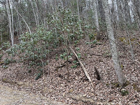 5th image of 10 John Sevier Dr Lot 10