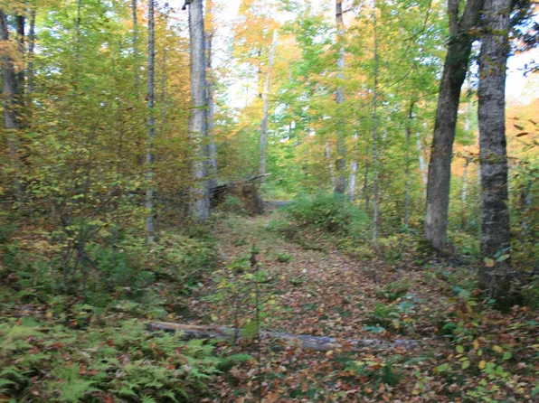 University Rd Parcel 3, Iron River, MI 49935