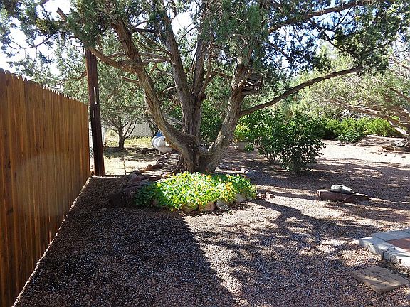 Backyard left