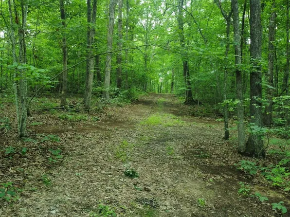 1 Pendleton Branch Rd, Salt Lick, KY 40371