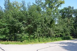 5th image of 1408 Bonnema Ave