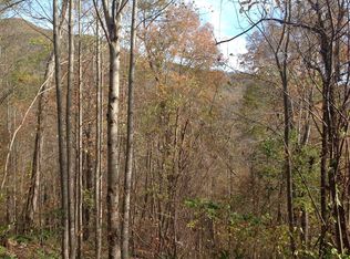 C3 Accalades Rd, Whittier, NC 28789