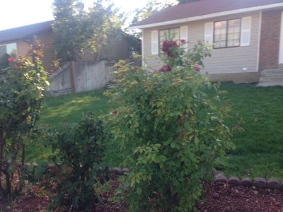 781 N 950 W, Orem, UT, 84057