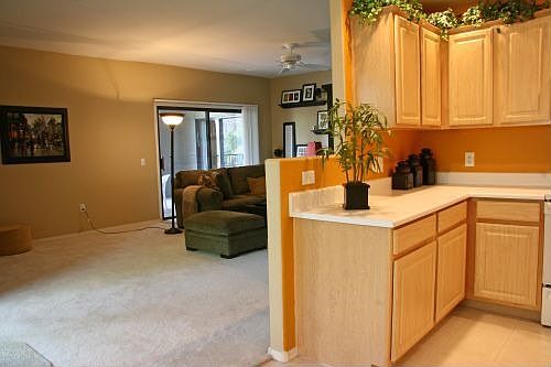 Kitchen/Living Room