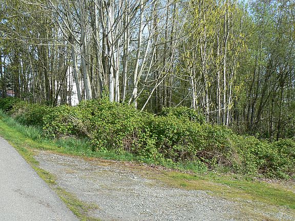 2nd image of Harborview Dr.