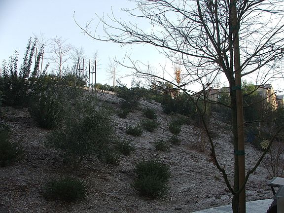 View from front door