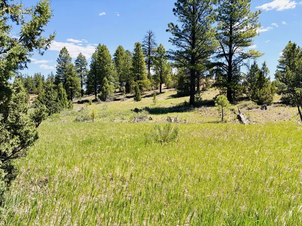 2806 N Dead Horse Loop, Alton, UT 84710