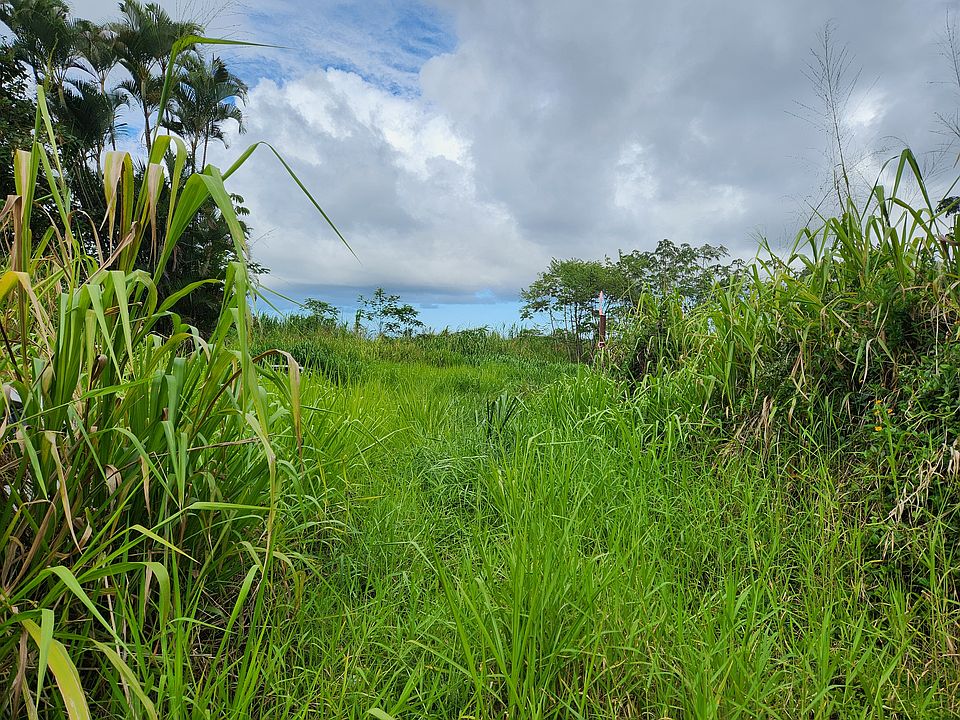 1st image of LOT 26 Lot 26