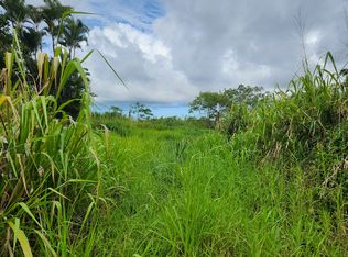 LOT 26 Lot 26, Kurtistown, HI 96760