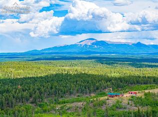 County Rd Unit 4, Florissant, CO 80816