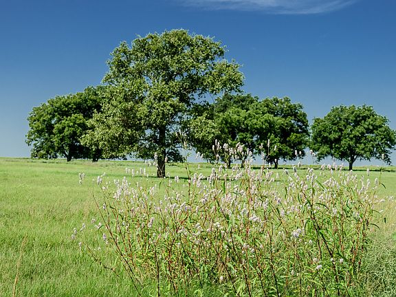 4th image of 1 Pleasant Valley Rd