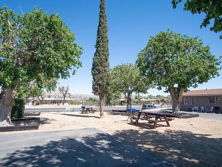 57373 Yucca Trl — Photo 17