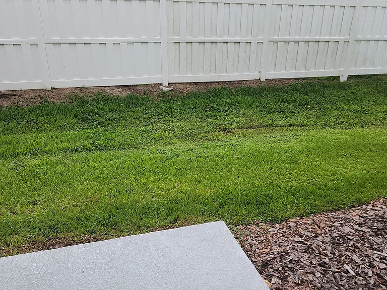 11805 Sylvia St — Photo 32