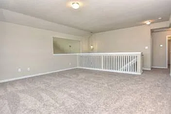 917 Swan Flower St — Photo 19
