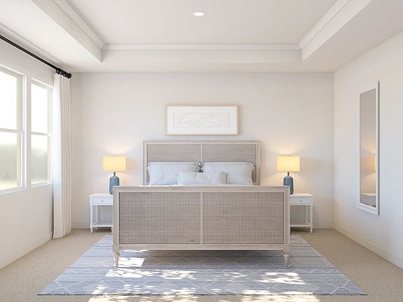 Primary suite featuring tray ceiling