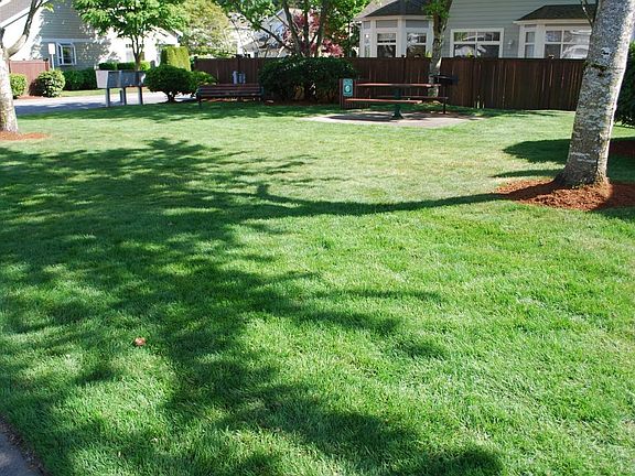 Neighborhood park in front the house