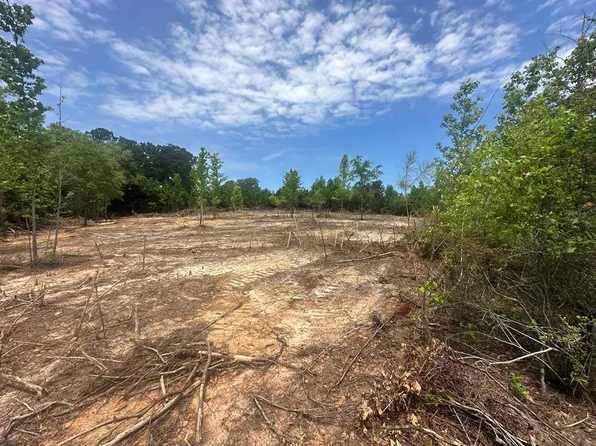 0 Alabama Hwy #167, Jack, AL 36346